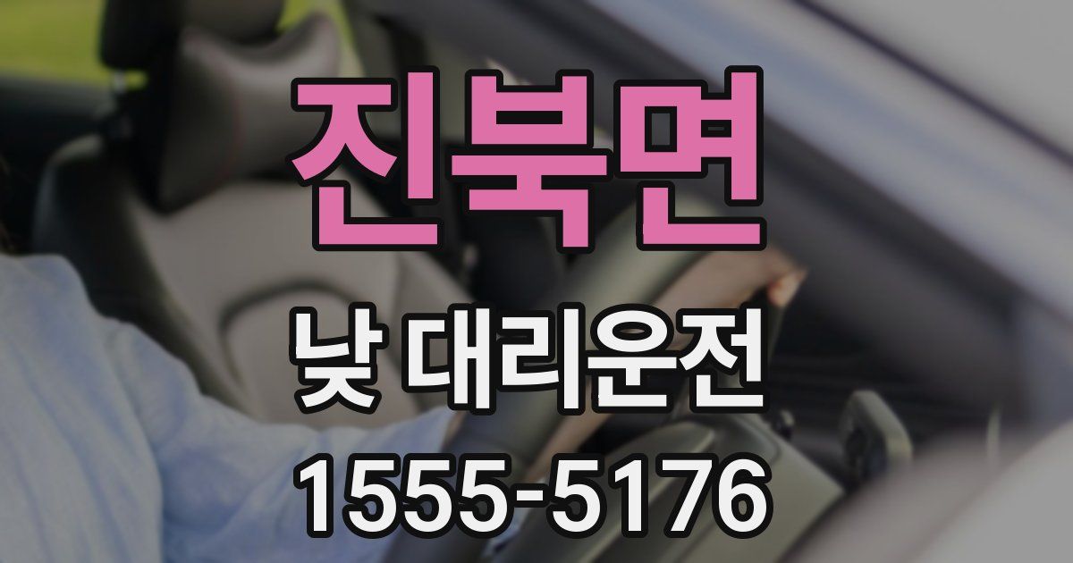 진북면 낮 대리운전