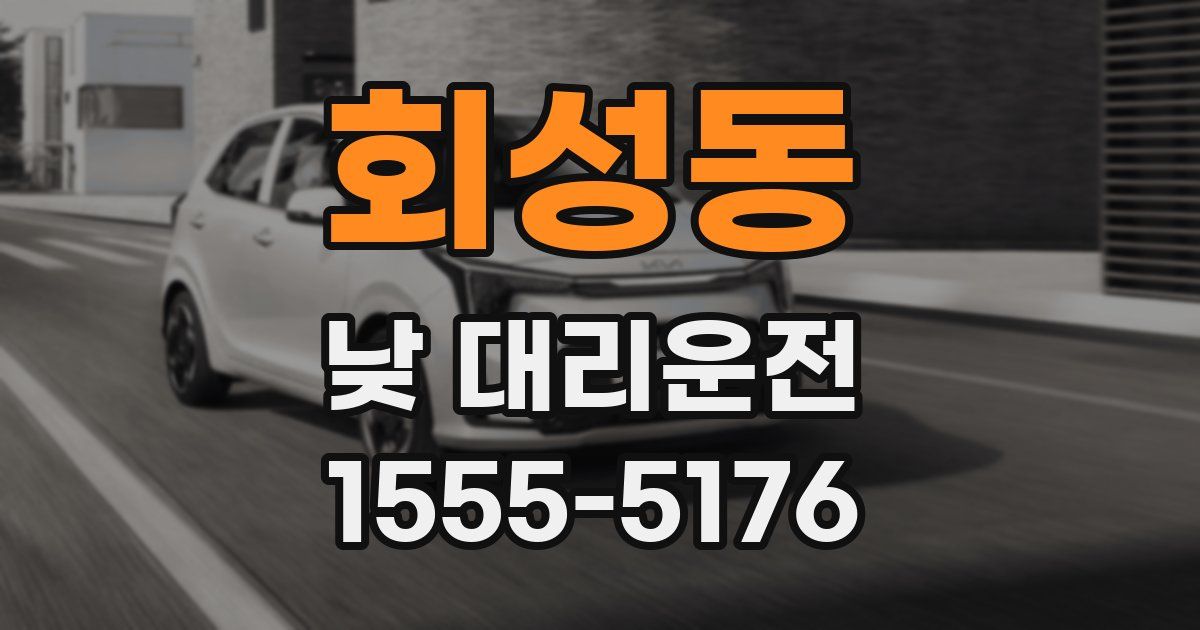 회성동 낮 대리운전