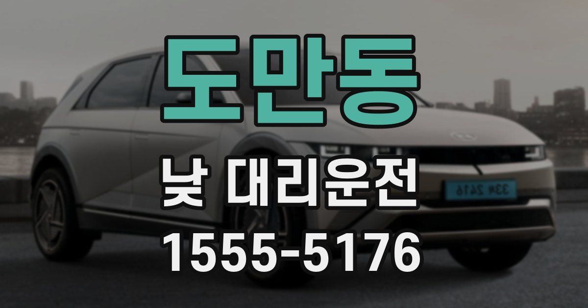 도만동 낮 대리운전