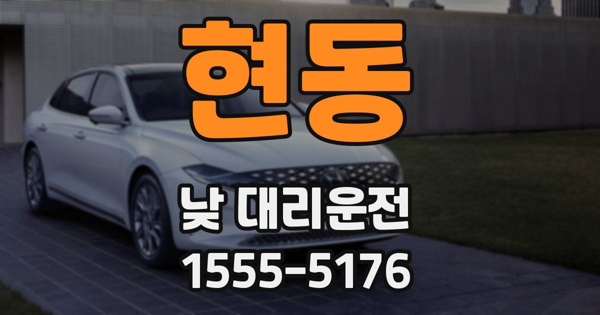 현동 낮 대리운전