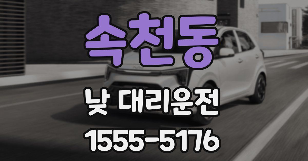 속천동 낮 대리운전