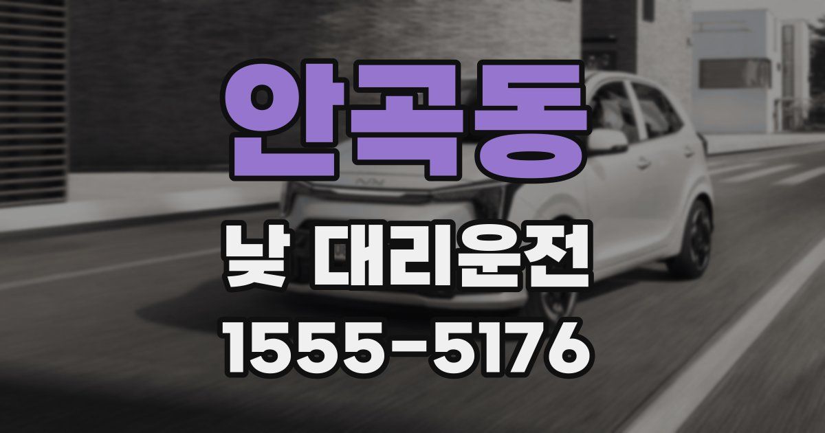 안곡동 낮 대리운전