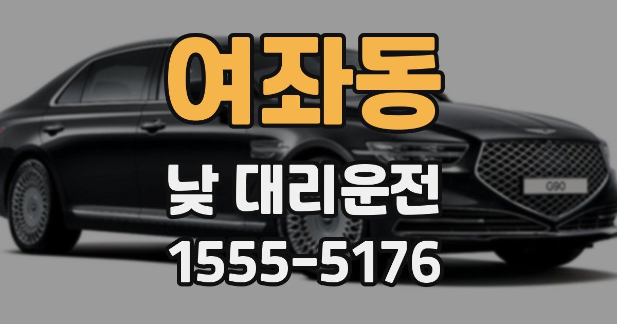 여좌동 낮 대리운전
