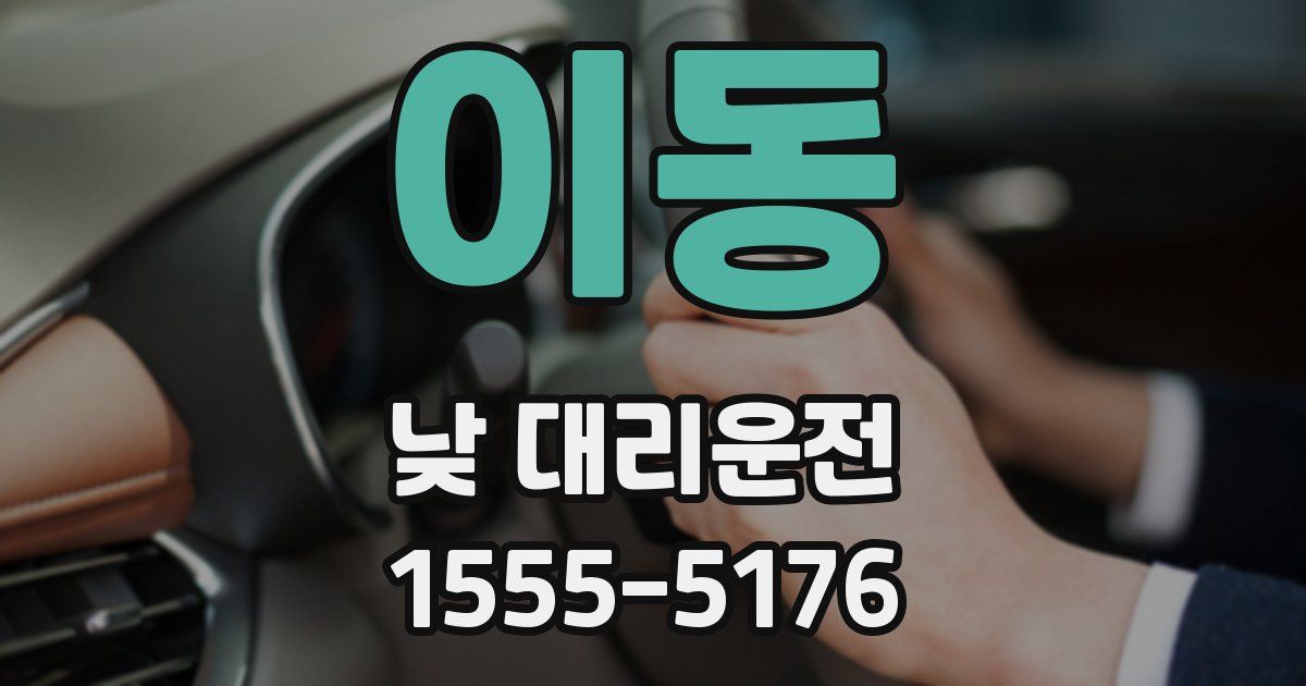 이동 낮 대리운전