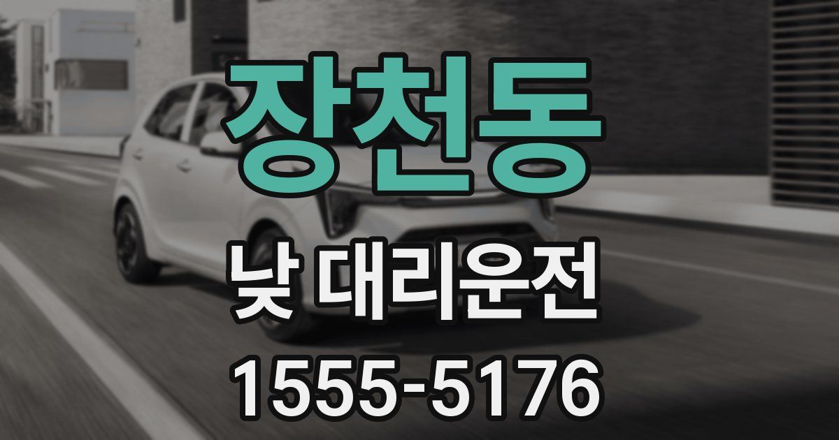 장천동 낮 대리운전