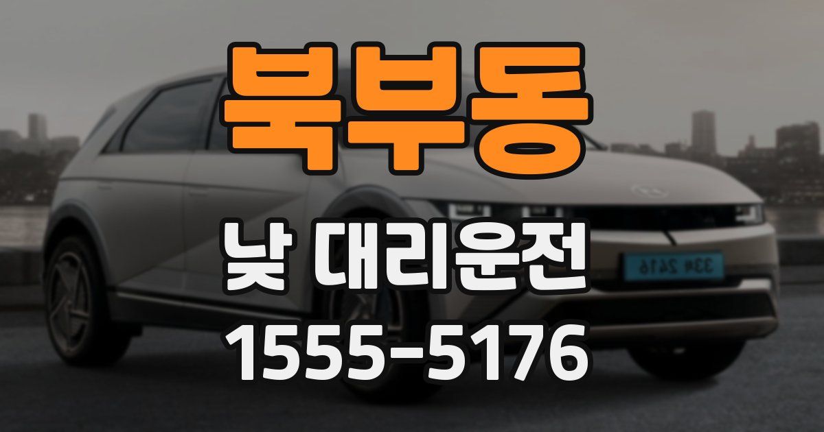 북부동 낮 대리운전