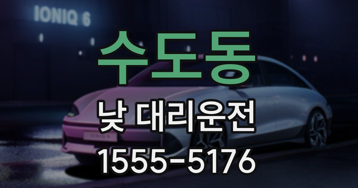 수도동 낮 대리운전