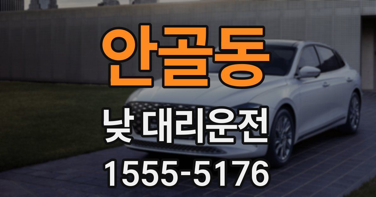 안골동 낮 대리운전