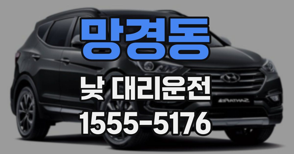 망경동 낮 대리운전