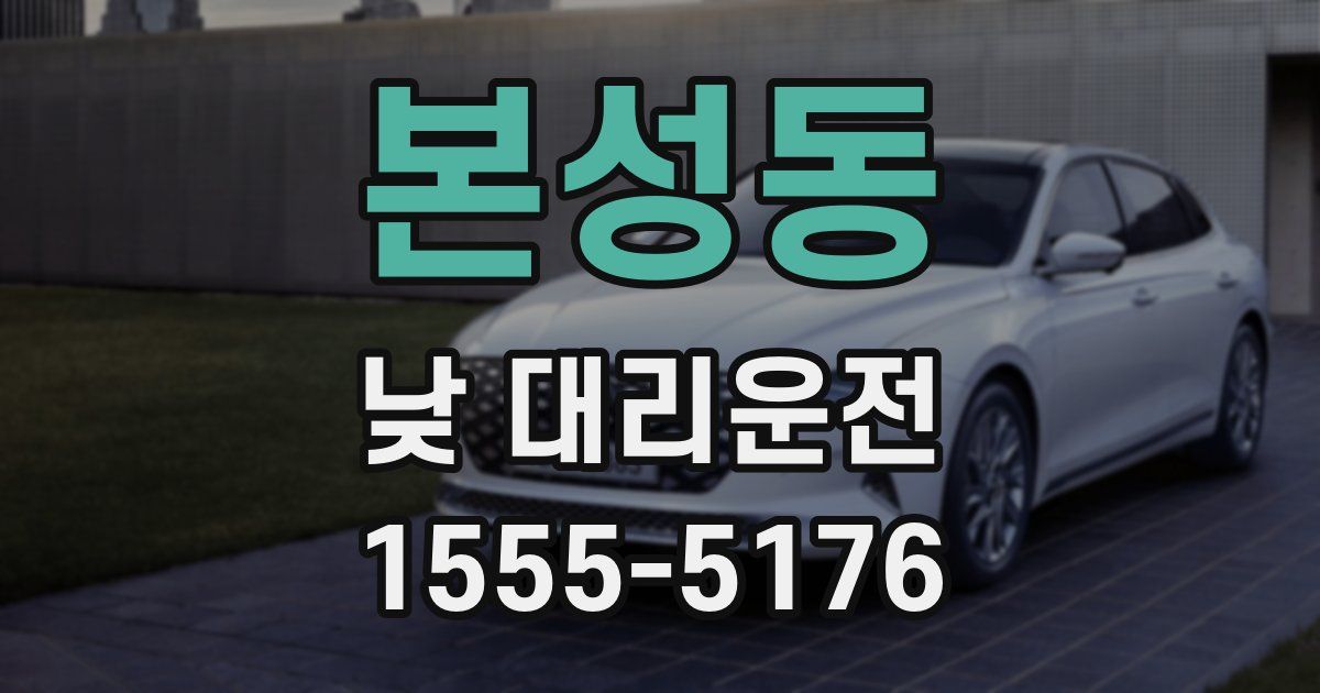본성동 낮 대리운전