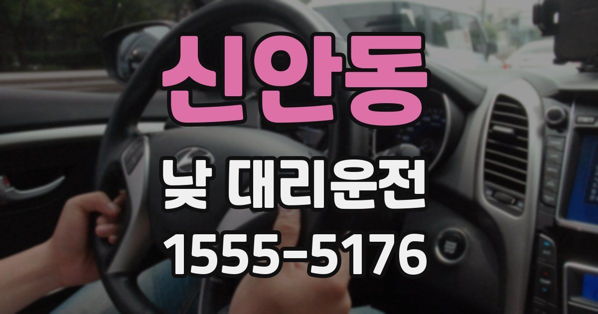 신안동 낮 대리운전