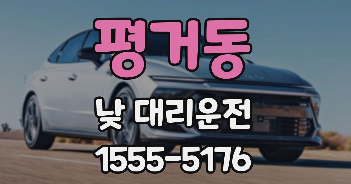 평거동 낮 대리운전