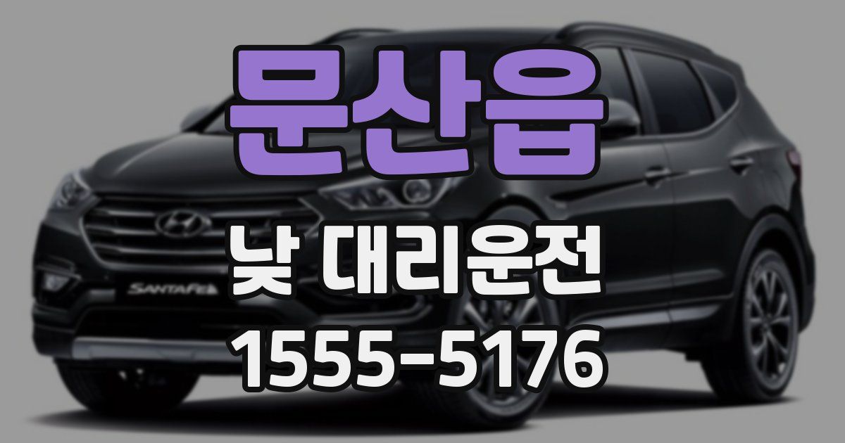 문산읍 낮 대리운전
