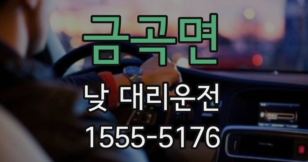 금곡면 낮 대리운전