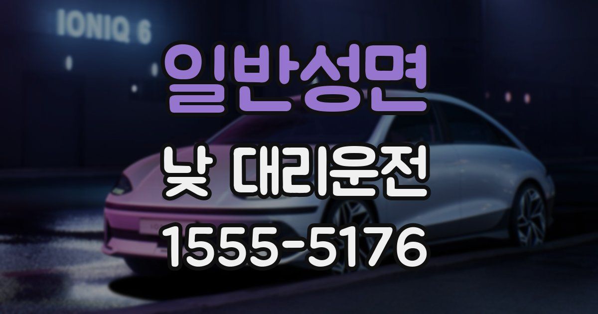 일반성면 낮 대리운전