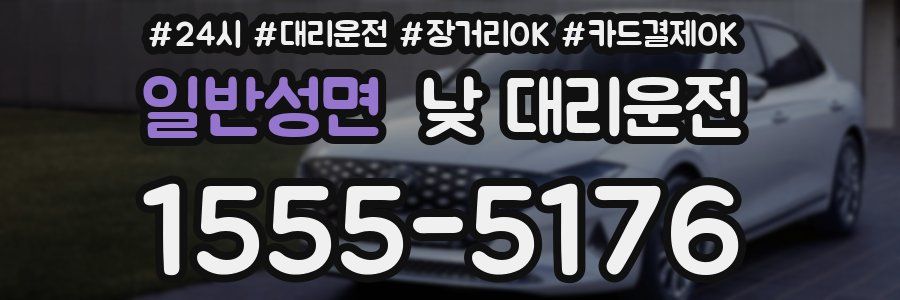 일반성면 낮 대리운전