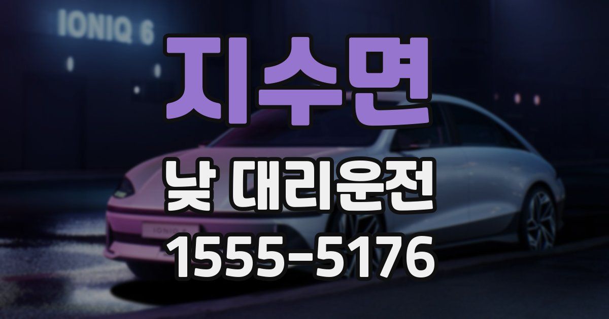 지수면 낮 대리운전