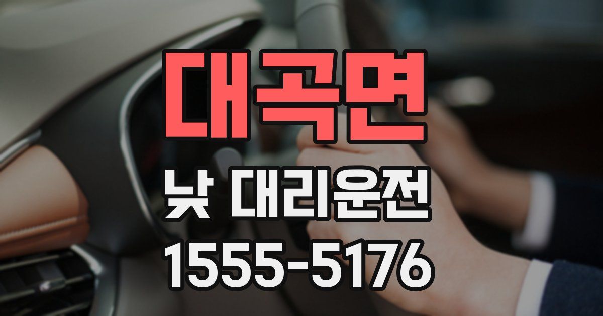 대곡면 낮 대리운전
