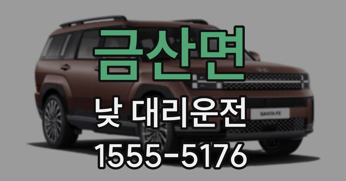 금산면 낮 대리운전