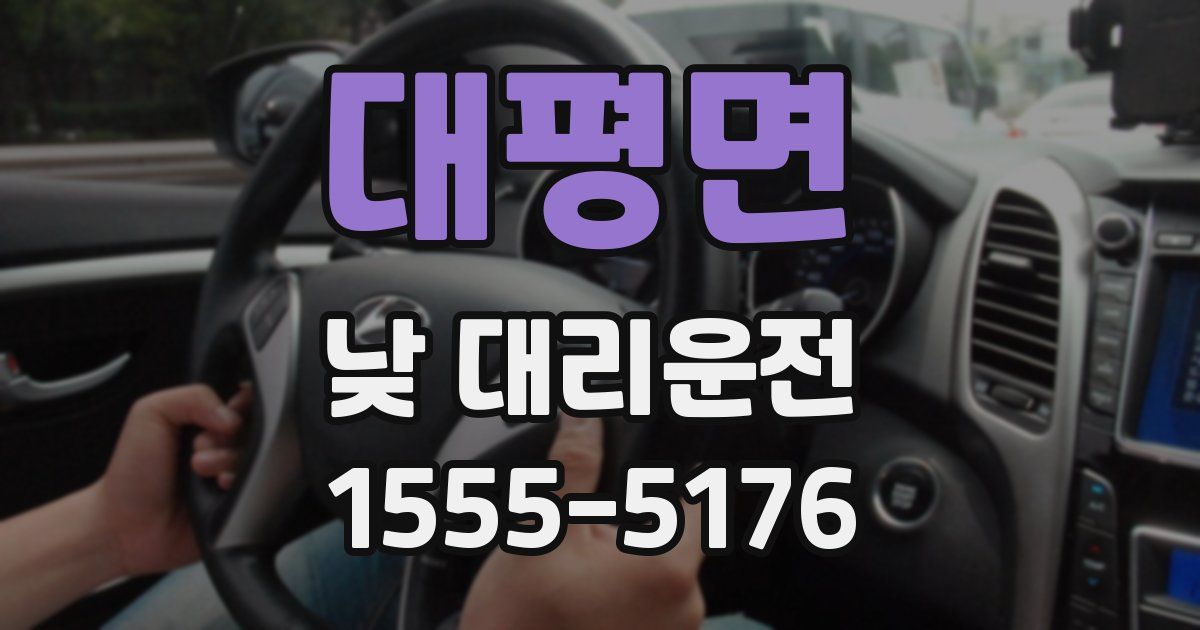 대평면 낮 대리운전