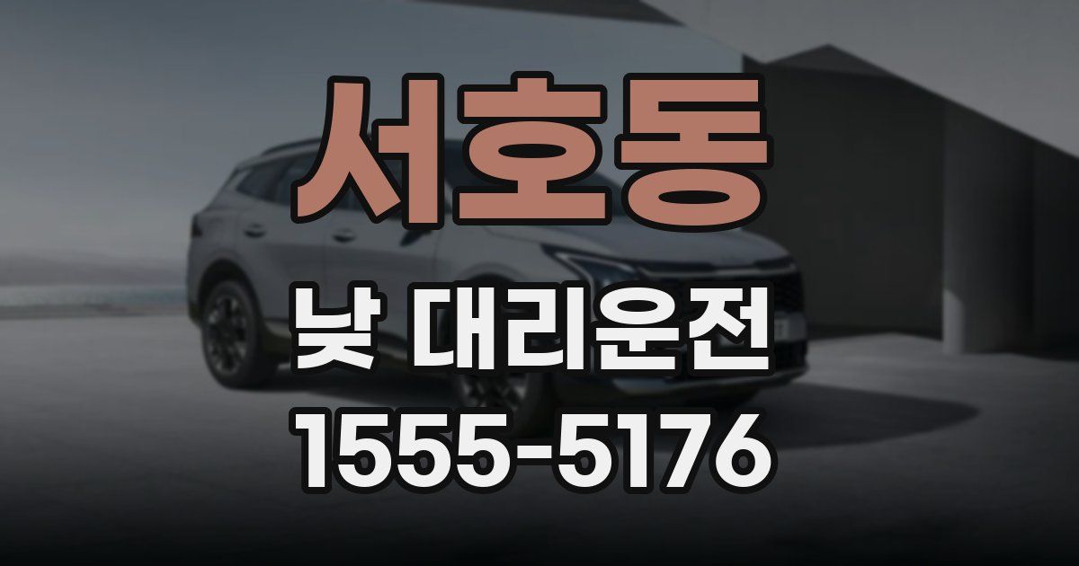 서호동 낮 대리운전