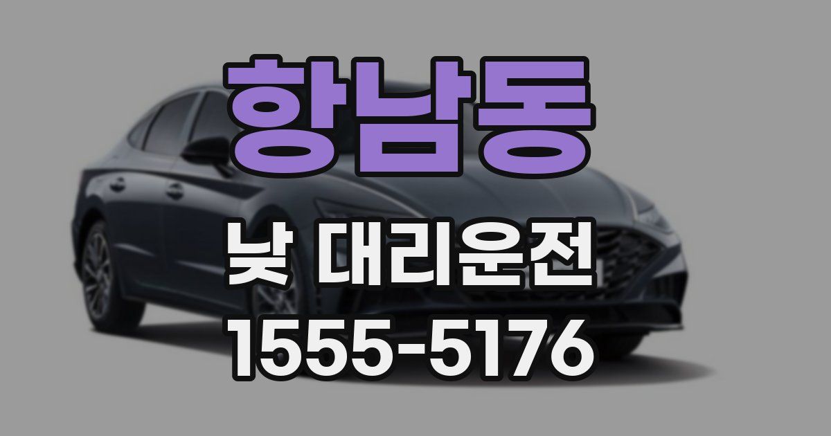 항남동 낮 대리운전