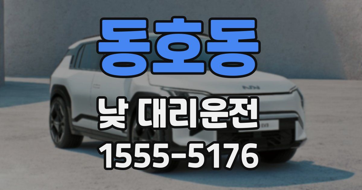 동호동 낮 대리운전