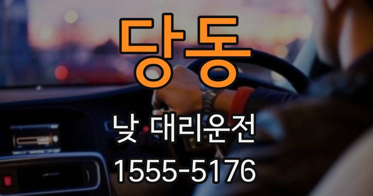 당동 낮 대리운전