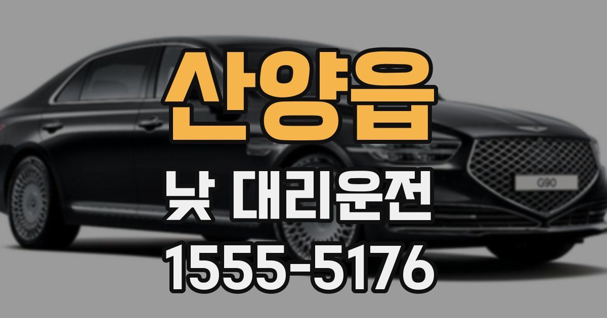 산양읍 낮 대리운전