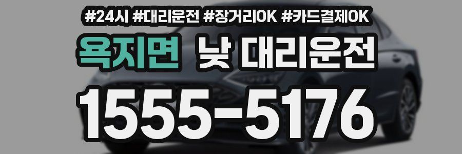 욕지면 낮 대리운전