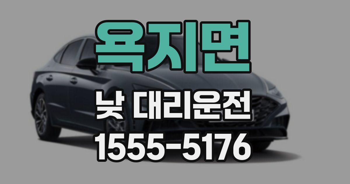 욕지면 낮 대리운전