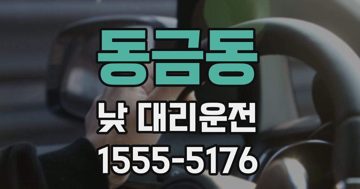 동금동 낮 대리운전