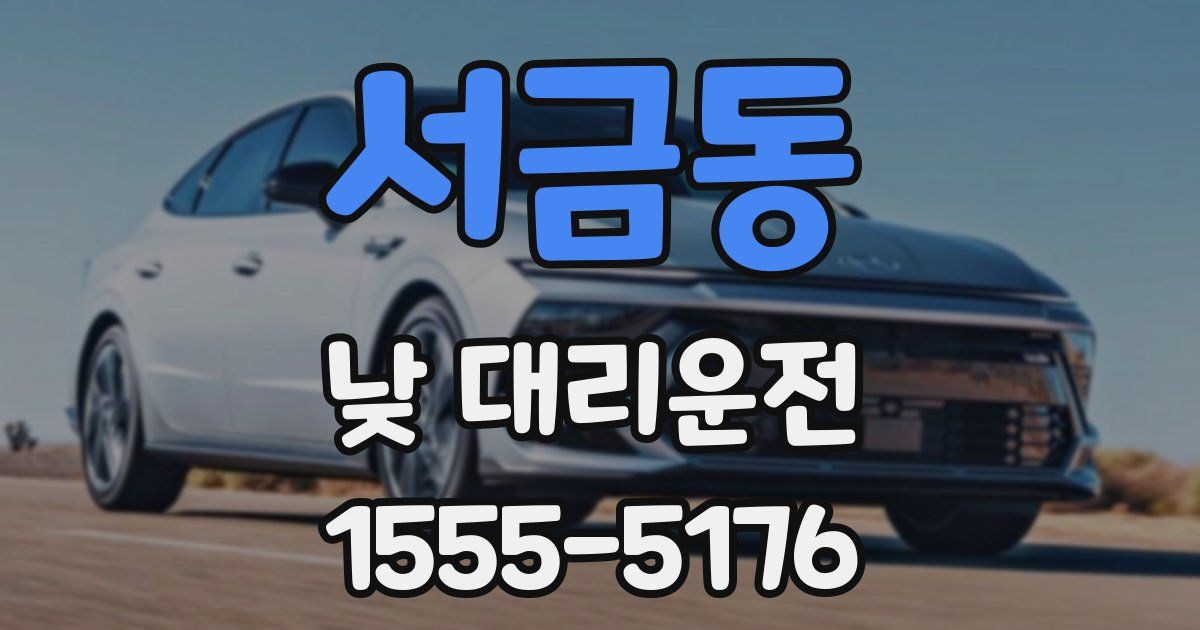 서금동 낮 대리운전