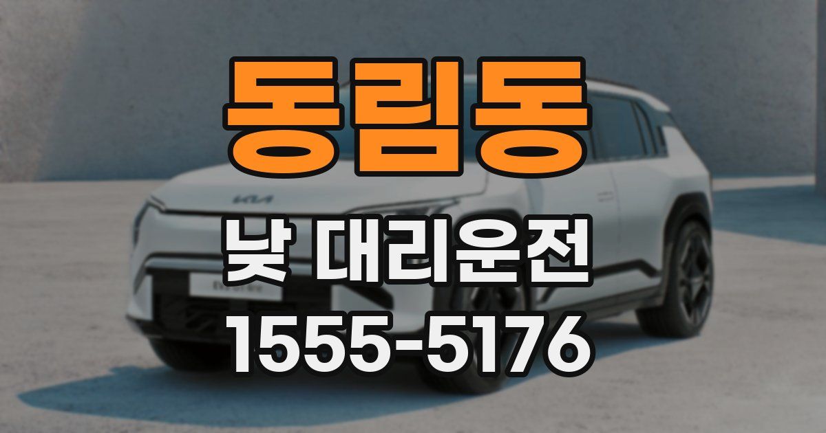 동림동 낮 대리운전