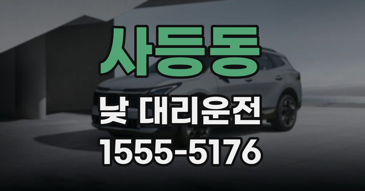 사등동 낮 대리운전