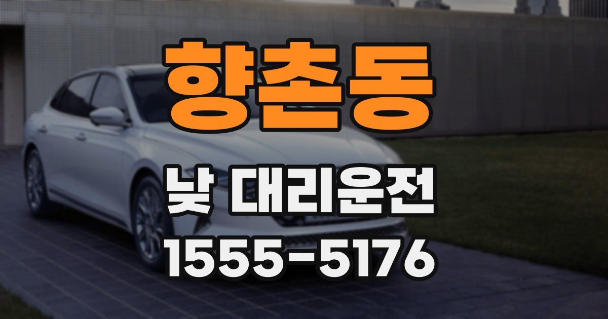 향촌동 낮 대리운전