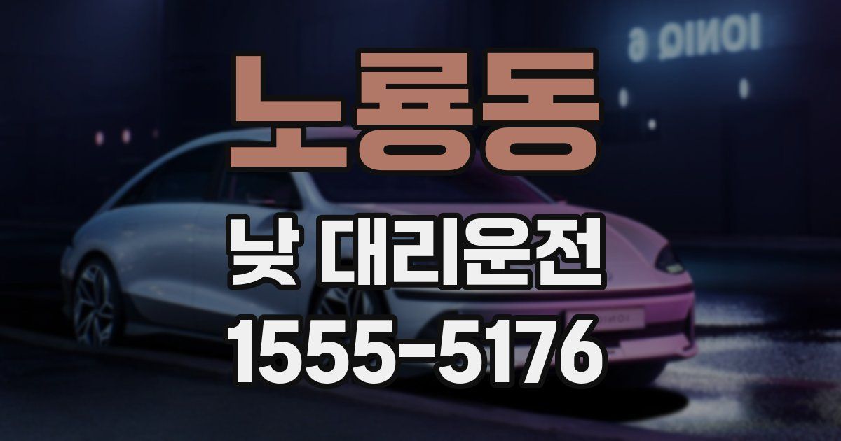노룡동 낮 대리운전