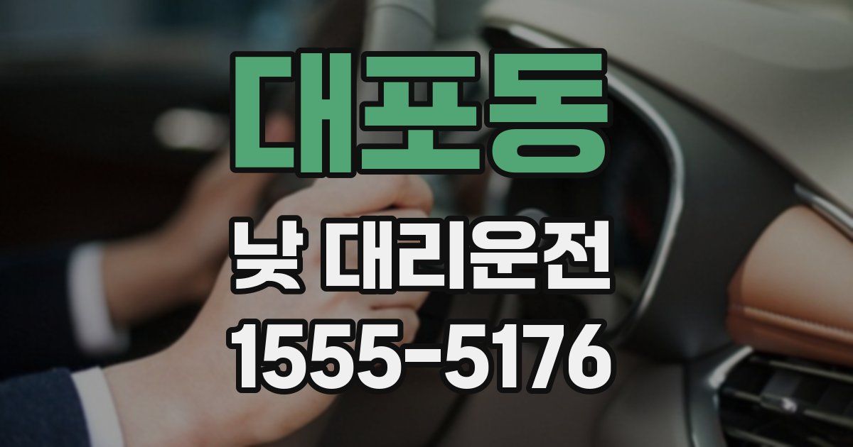 대포동 낮 대리운전