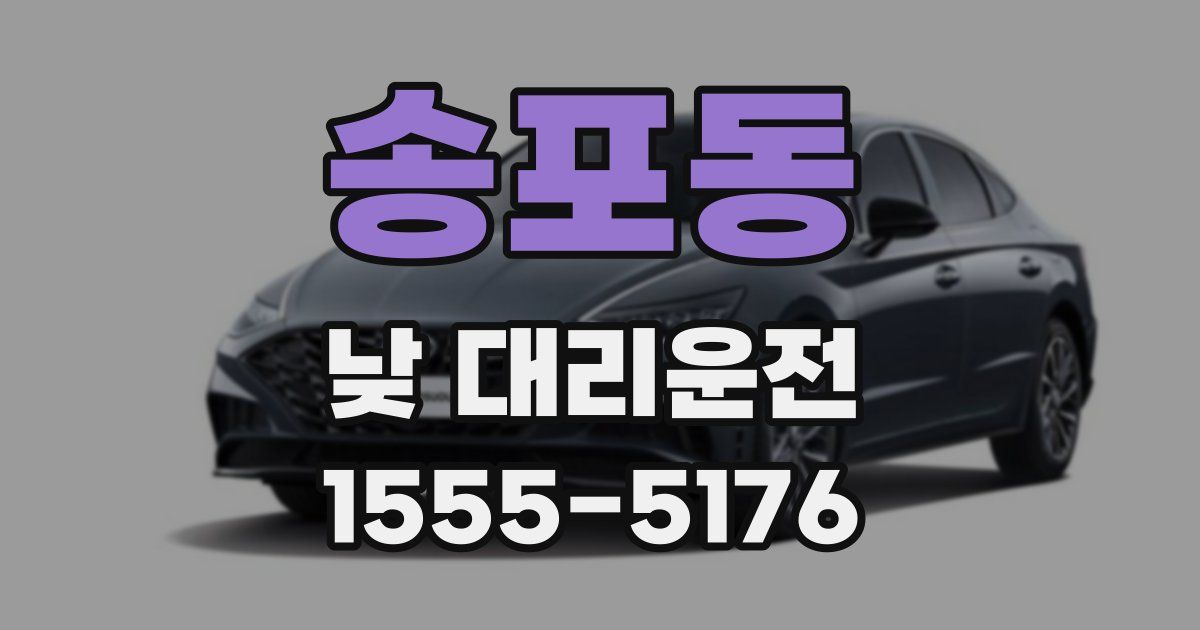 송포동 낮 대리운전