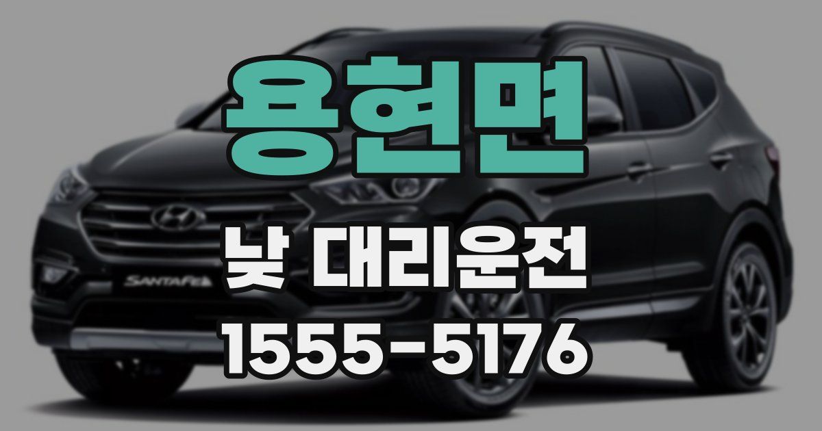 용현면 낮 대리운전
