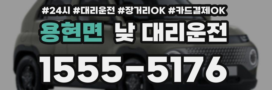 용현면 낮 대리운전
