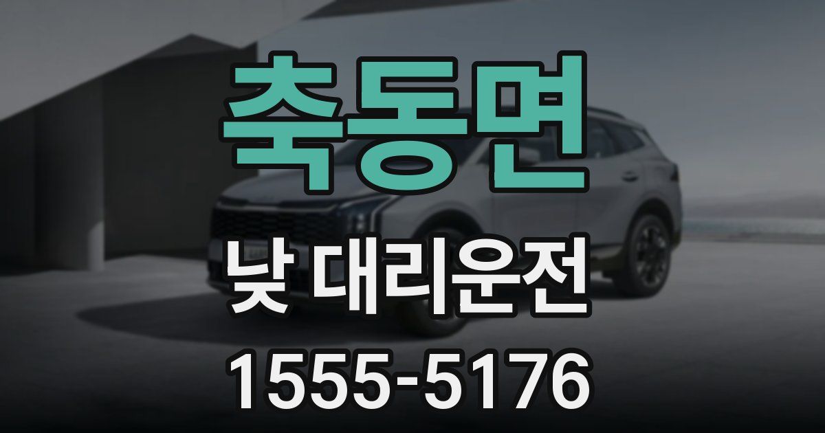축동면 낮 대리운전
