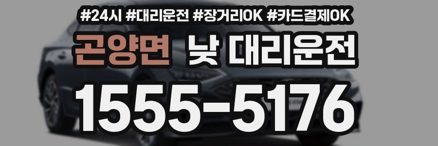 곤양면 낮 대리운전