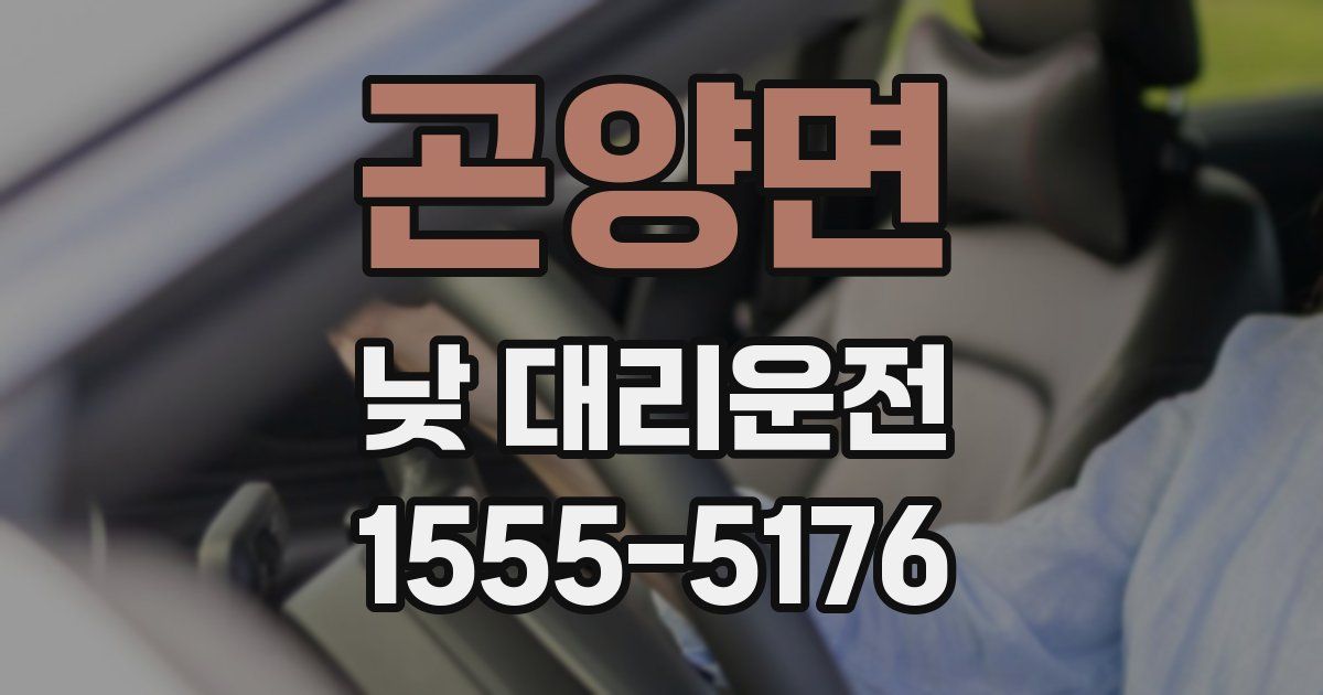 곤양면 낮 대리운전