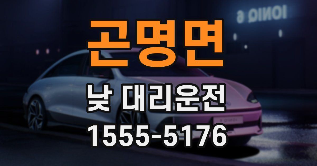 곤명면 낮 대리운전