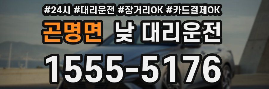 곤명면 낮 대리운전