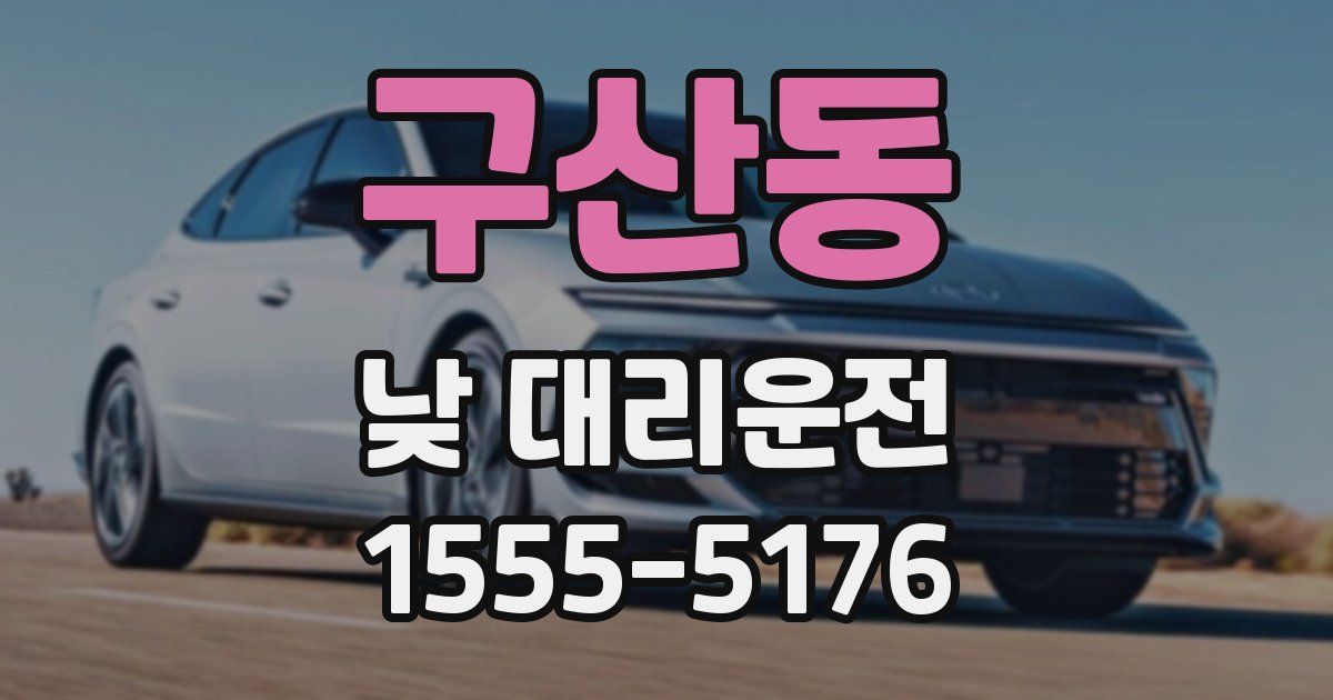 구산동 낮 대리운전