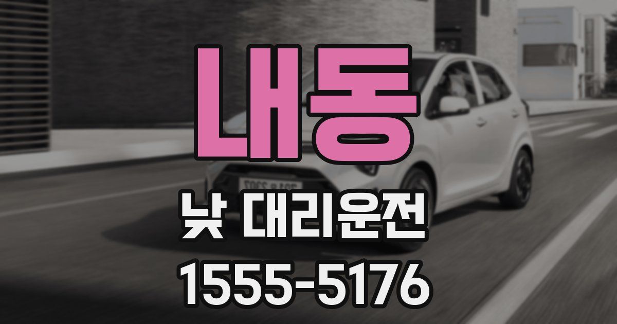 내동 낮 대리운전