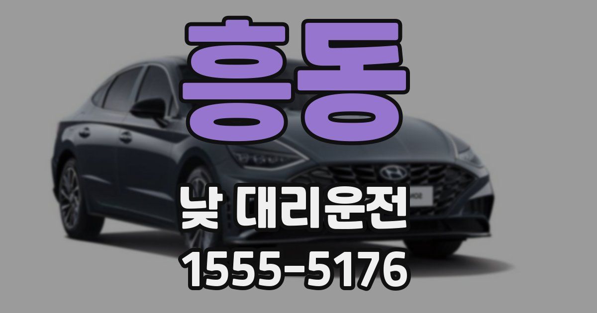 흥동 낮 대리운전