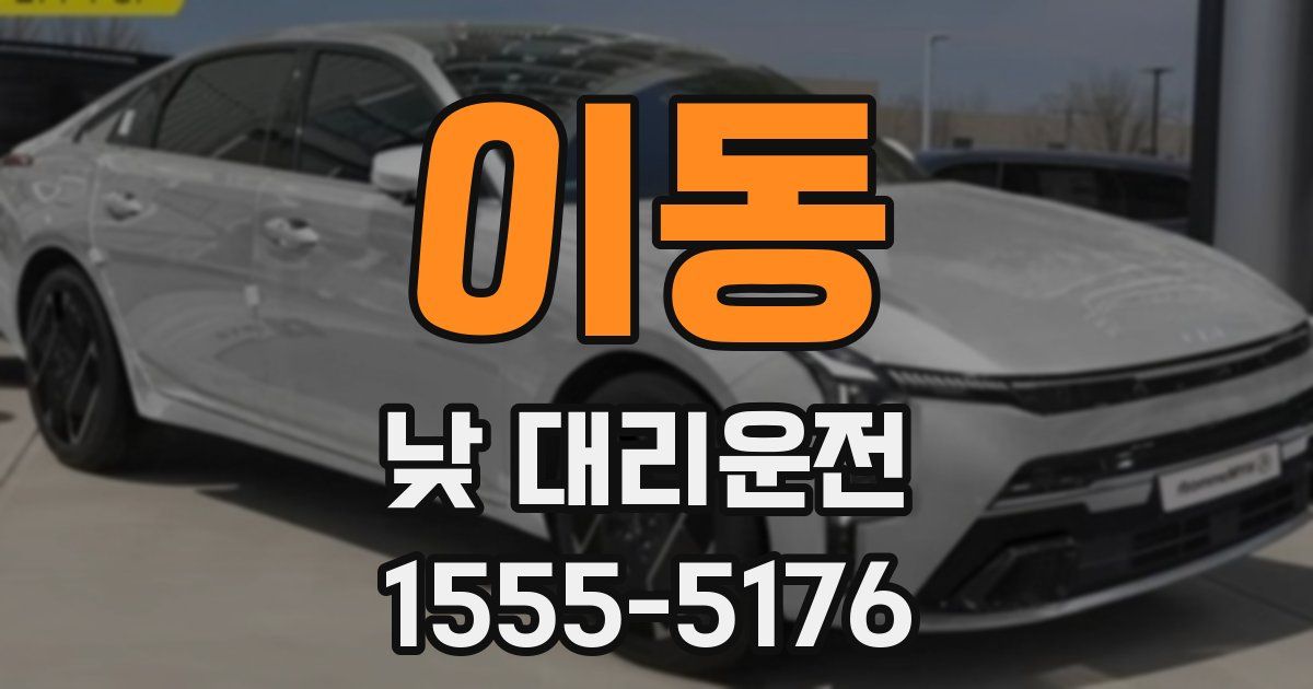 이동 낮 대리운전